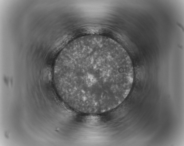 X0000102520313200808291803