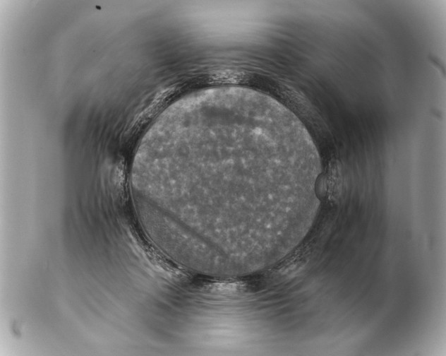 X0000102520314200808291803