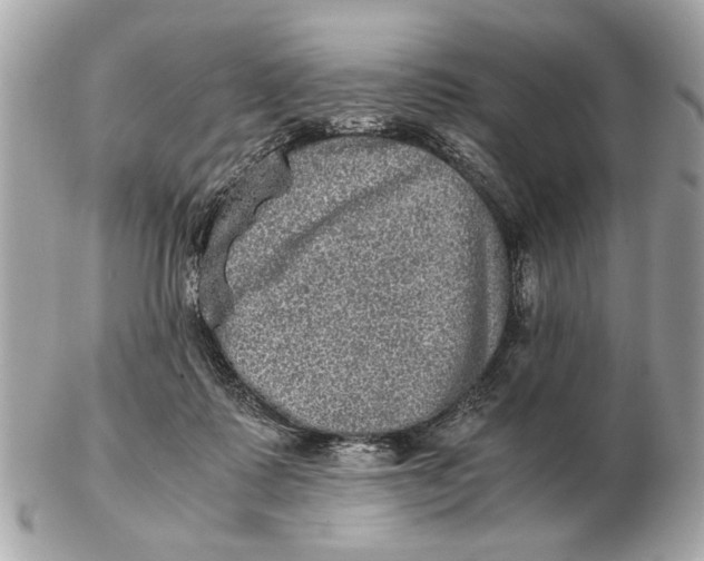 X0000102520315200808291803