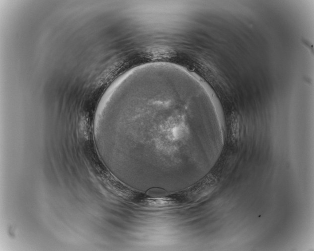 X0000102520316200808291803