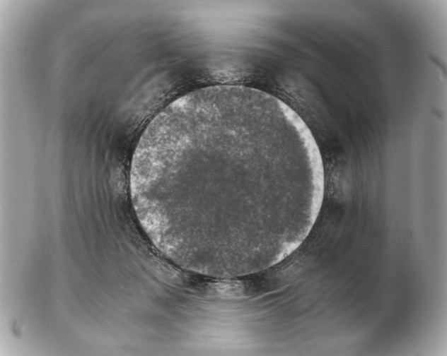 X0000102520317200808291803