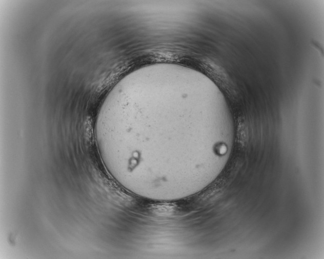 X0000102520318200808291803