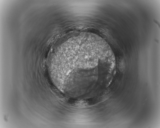 X0000102520319200808291803