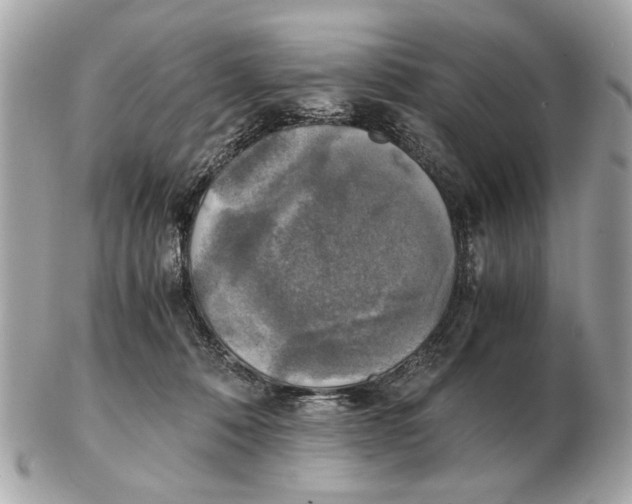 X0000102520320200808291803