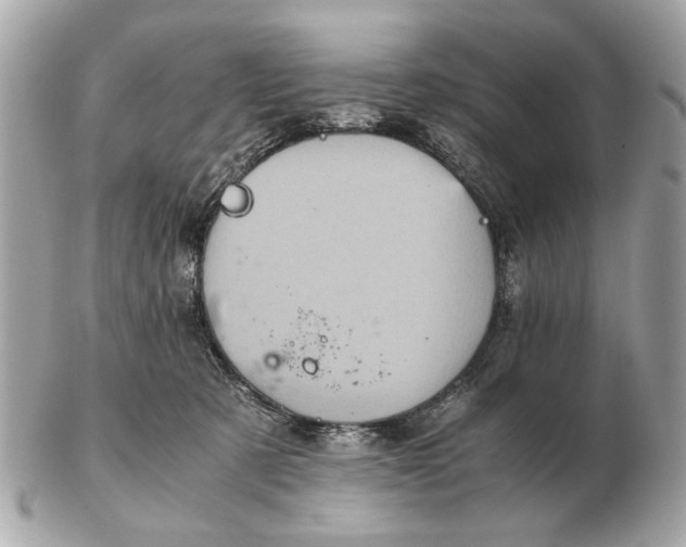 X0000102520321200808291803