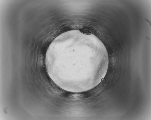 X0000102520323200808291803