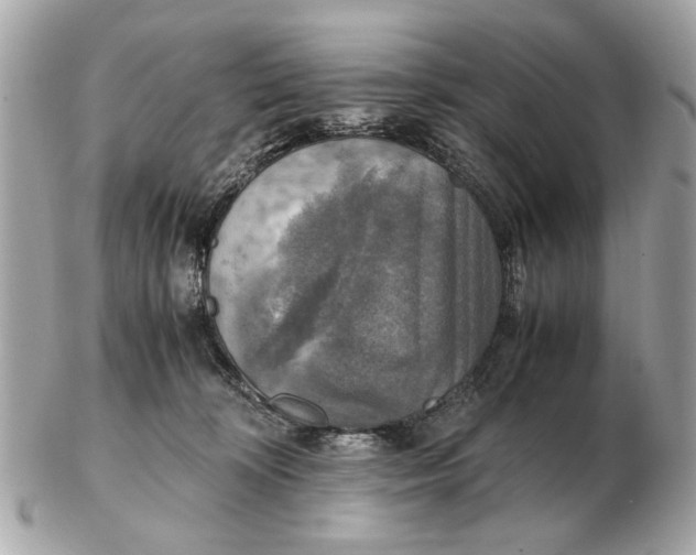 X0000102520324200808291803