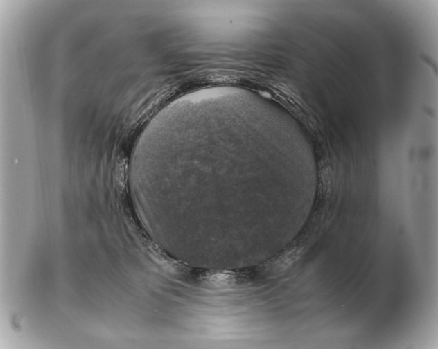 X0000102520325200808291803