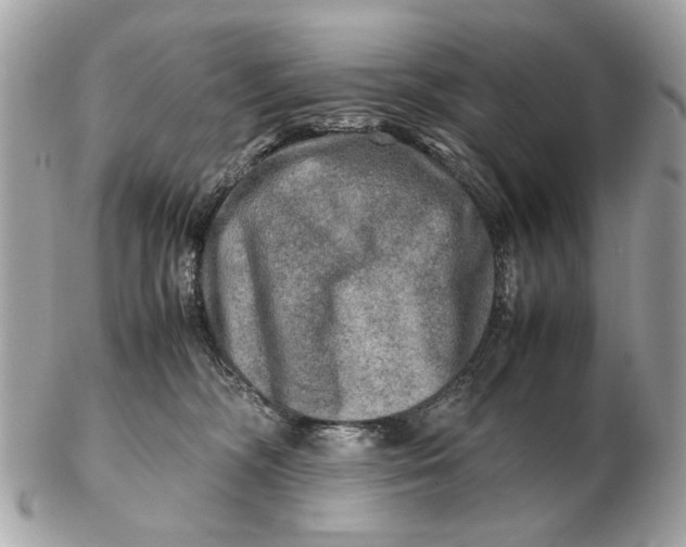 X0000102520326200808291803