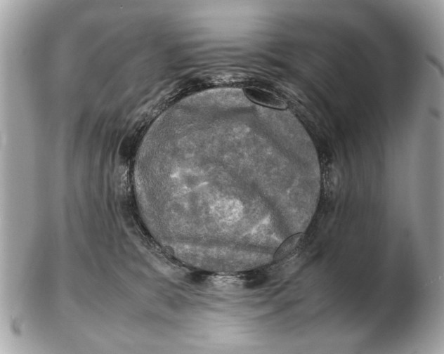 X0000102520327200808291803