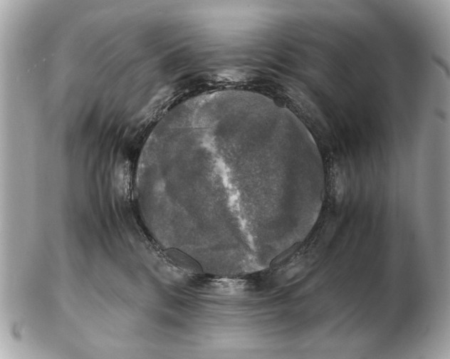 X0000102520328200808291803