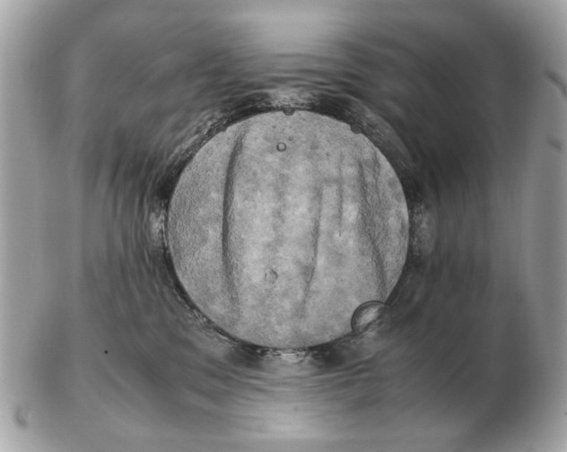 X0000102520329200808291803