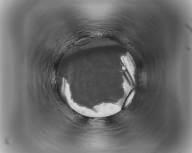 X0000102520331200808291803