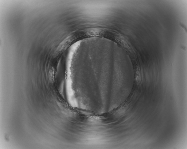 X0000102520332200808291803