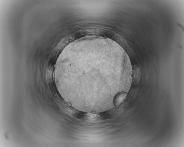 X0000102520333200808291803