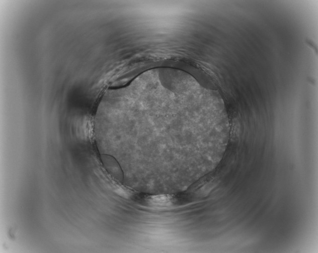 X0000102520335200808291802