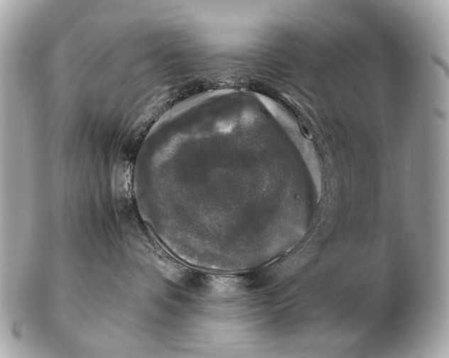 X0000102520336200808291802