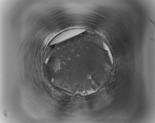 X0000102520337200808291802