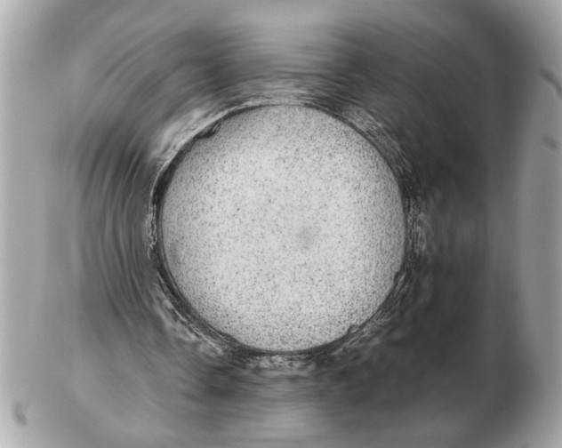 X0000102520338200808291802