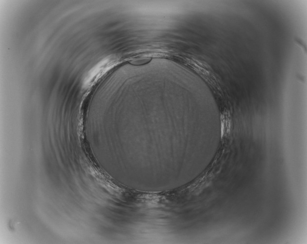 X0000102520339200808291802