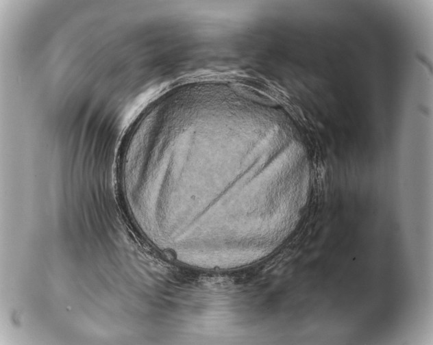 X0000102520340200808291802