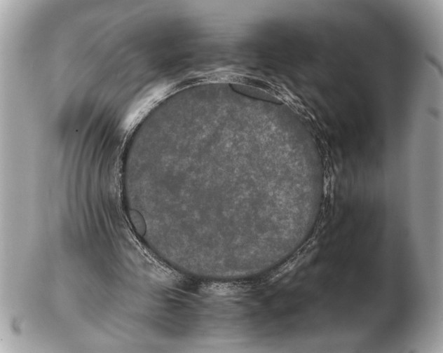 X0000102520341200808291802