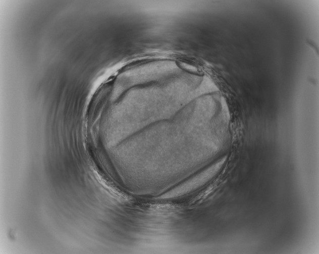 X0000102520342200808291802