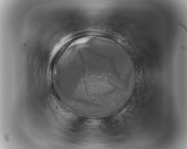 X0000102520343200808291802