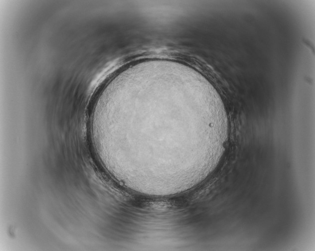 X0000102520344200808291802