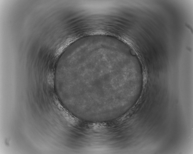 X0000102520345200808291802