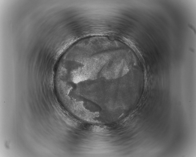 X0000102520346200808291802