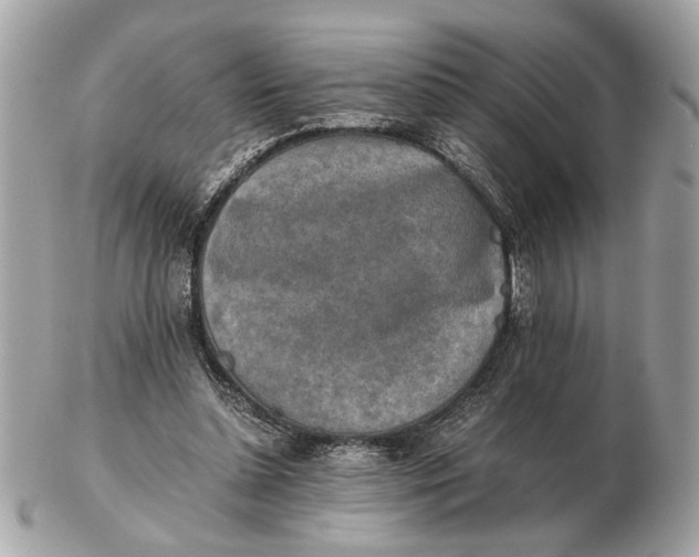 X0000102520348200808291802