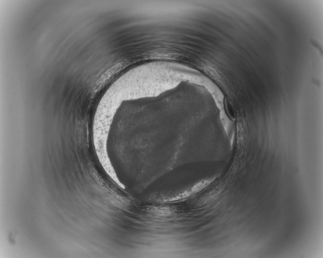 X0000102520349200808291802