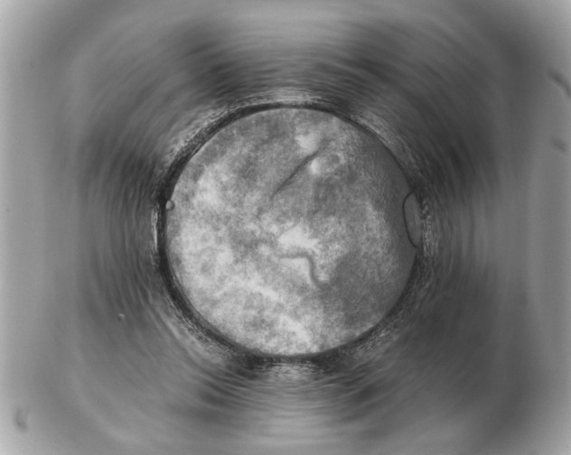 X0000102520350200808291802