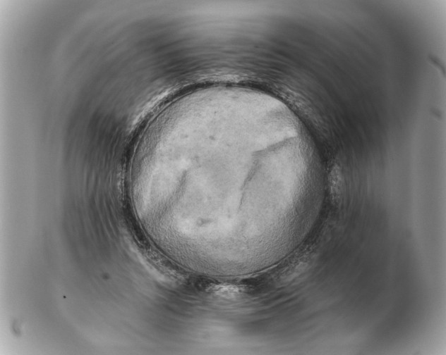 X0000102520352200808291802