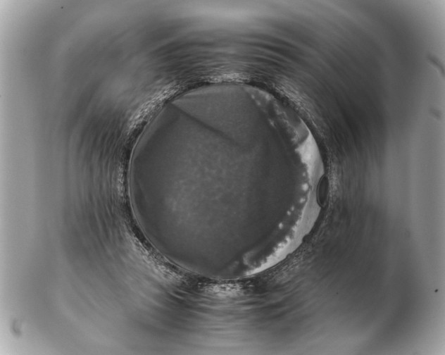 X0000102520353200808291802