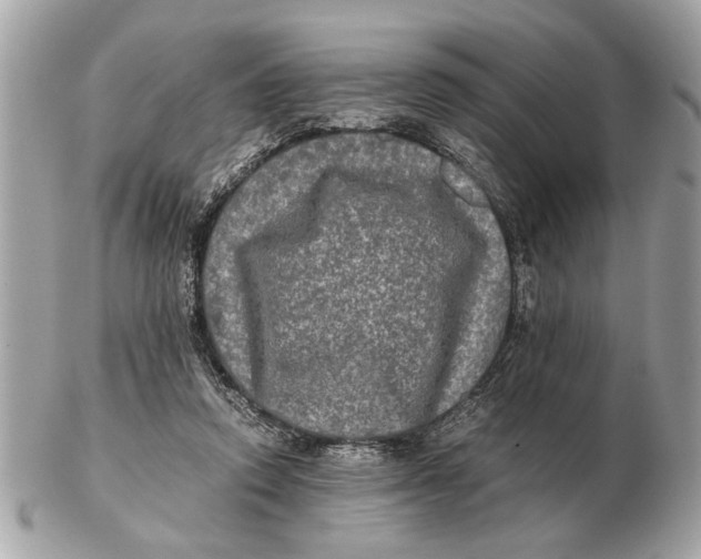 X0000102520354200808291802