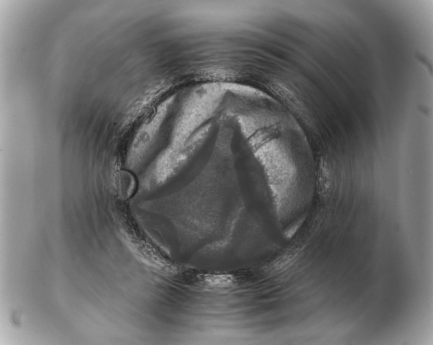 X0000102520355200808291802