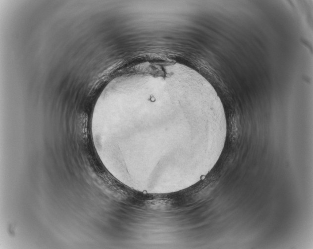 X0000102520356200808291802