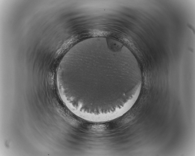 X0000102520357200808291802