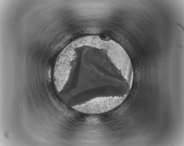 X0000102520358200808291802