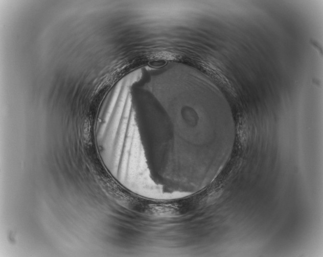 X0000102520359200808291802