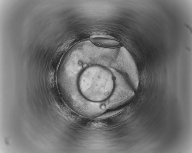 X0000102520360200808291802