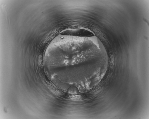 X0000102520361200808291802