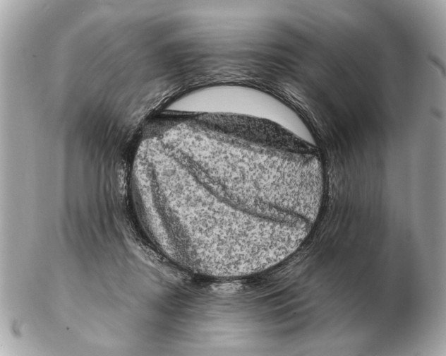 X0000102520362200808291802