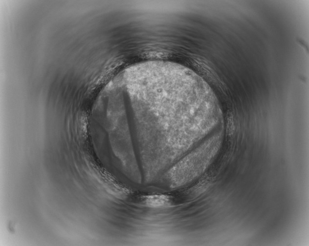 X0000102520363200808291802