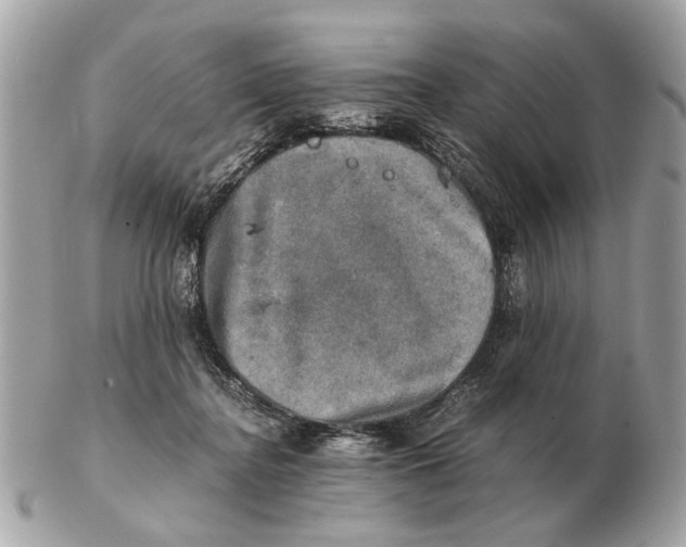 X0000102520364200808291802