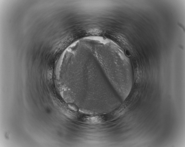 X0000102520365200808291802