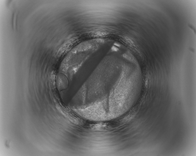 X0000102520366200808291802