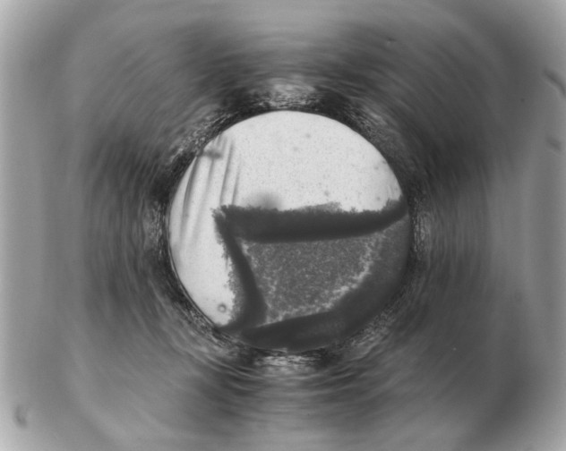 X0000102520367200808291802